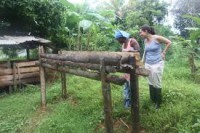 /album/fupropcolombia/images-jpg/
